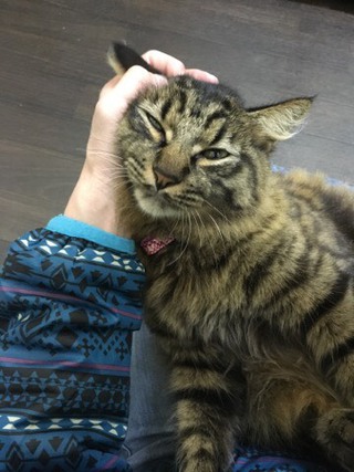 本日のザイオンくん&リリーちゃん 本日のザイオンくん&リリーちゃん
