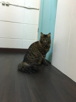 本日のザイオンくん&リリーちゃん 本日のザイオンくん&リリーちゃん