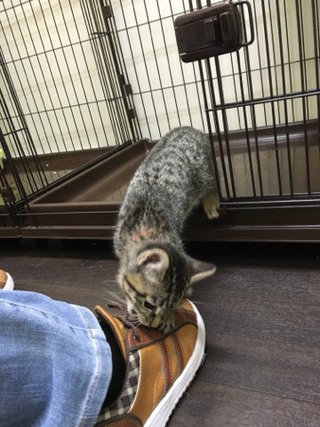 今日もザイオンくんとリリーちゃん 今日もザイオンくんとリリーちゃん