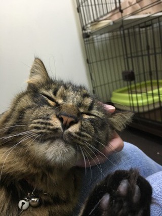 今日もザイオンくんとリリーちゃん 今日もザイオンくんとリリーちゃん