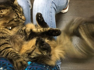 今日もザイオンくんとリリーちゃん 今日もザイオンくんとリリーちゃん