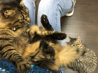 今日もザイオンくんとリリーちゃん 今日もザイオンくんとリリーちゃん