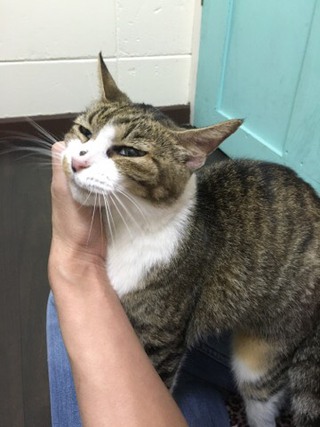 みぃーちゃん お泊り中 みぃーちゃん お泊り中