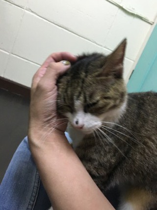 みぃーちゃん お泊り中 みぃーちゃん お泊り中