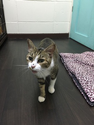 みぃーちゃん お泊り中 みぃーちゃん お泊り中
