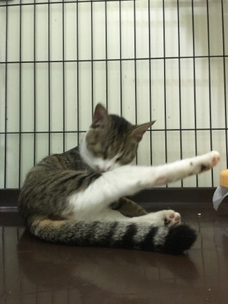 みぃーちゃん お泊り中 みぃーちゃん お泊り中