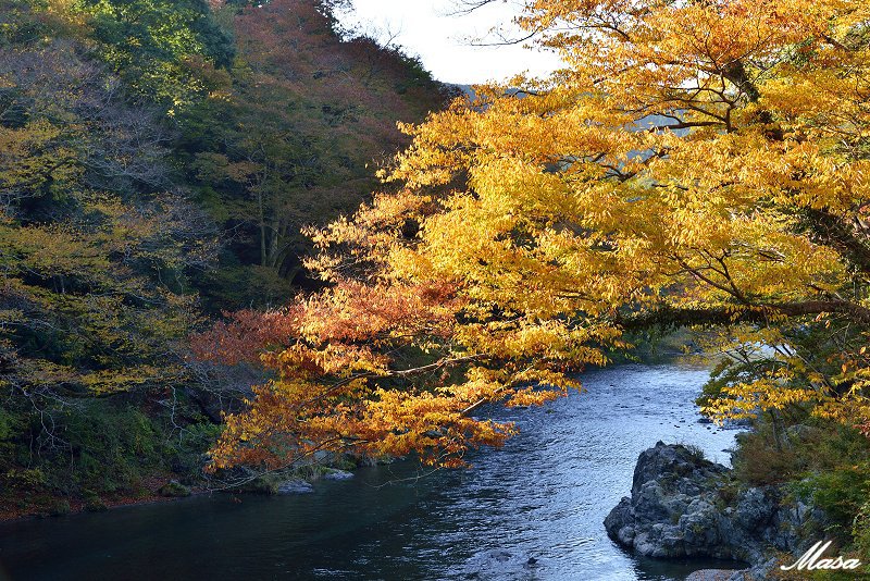 新しい記憶 ２ 御岳渓谷の紅葉