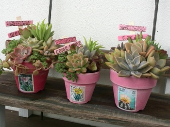 *ピンク系寄せ納品