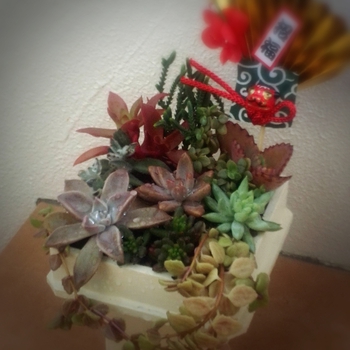 *今日から仕事初め(* ̄∇ ̄)ノ