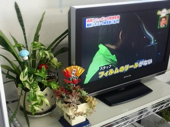 *今日から仕事初め(* ̄∇ ̄)ノ