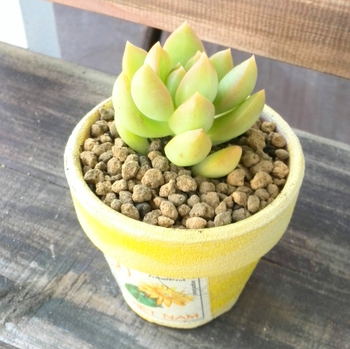 *清明*