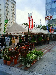 地産地消フェア/てんぶす那覇前