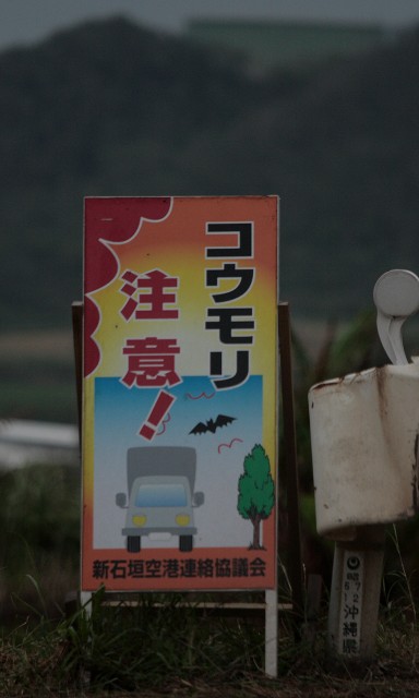 コウモリ注意!!