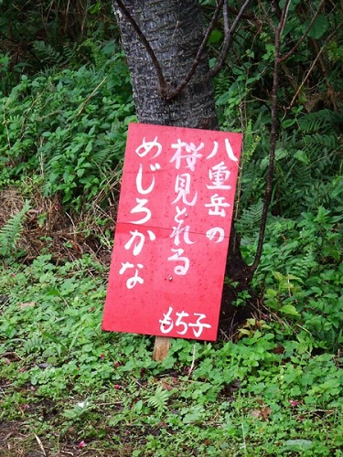 看板