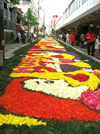インフィオラータ神戸2008 2008/05/02 07:52:08