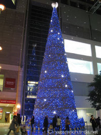神戸ハーバーランドキャナルガーデンクリスマスツリー 2007/12/12 06:30:00