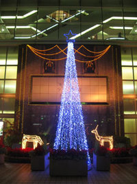 三宮SOGO前 2007/12/22 06:30:00