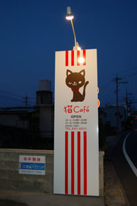 猫カフェ＠宜野湾