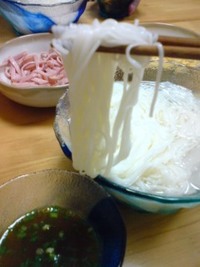 冷やしそうめん 2008/06/21 20:50:22