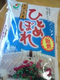 石垣島産のひとめぼれ 2008/07/11 14:45:04