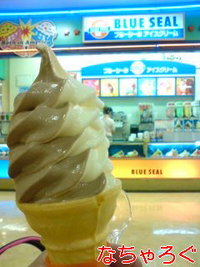 アイスクリームの日 2009/05/09 15:14:10