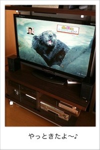 LED アクオス、ｷﾀ━(ﾟ∀ﾟ)━!! 2009/12/21 14:35:02