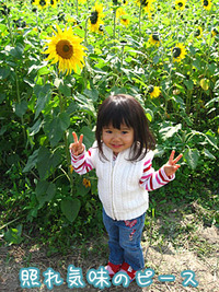 ぽんちゃんとひまわり畑 IN 2010 2010/02/04 09:01:00