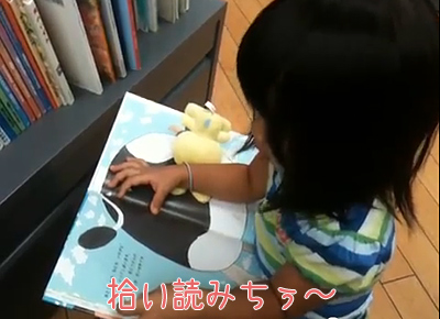 拾い読み【動画あり】