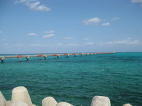 八重山紀行2008秋：3日目－その１－