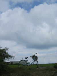 小浜島にて－その６－ 2007/06/06 21:19:06