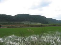 与那国島にて－その５－ 2007/06/27 19:32:22