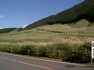 箱根・仙石原へ