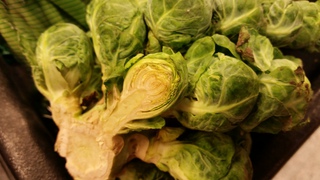 Brussel sprout Brussel sprout