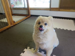 5月27日の記事 5月27日の記事