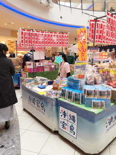 横浜店、猫、増殖中 横浜店、猫、増殖中