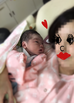 大安生まれ、ハイビスカスのようにすくすくと! 大安生まれ、ハイビスカスのようにすくすくと!