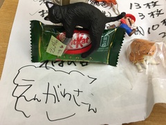 横浜店、猫、増殖中 横浜店、猫、増殖中