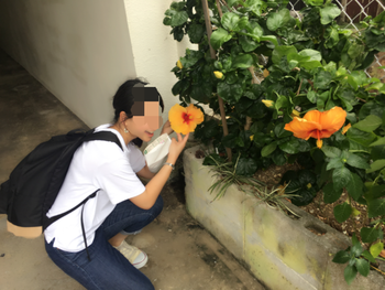 休みは満喫すべし 休みは満喫すべし