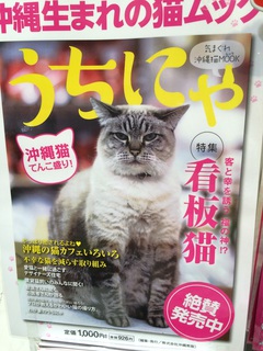 お猫様 お猫様