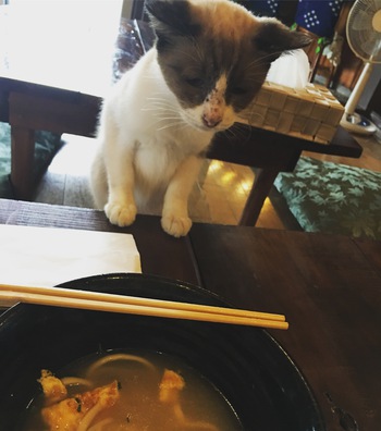 休みは満喫すべし 休みは満喫すべし