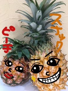 スナックパイン入荷してまっせ! スナックパイン入荷してまっせ!