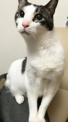 沖縄梅雨入りしました 沖縄梅雨入りしました