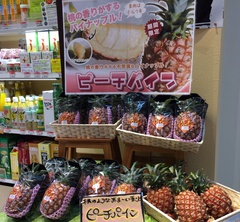 ピーチパイン入荷しました! ピーチパイン入荷しました!