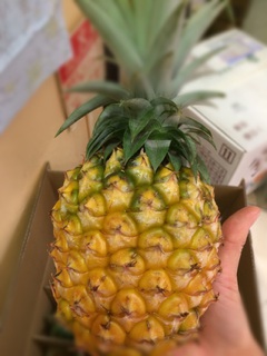 今日のおやつ 今日のおやつ