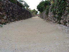 珊瑚の島 珊瑚の島