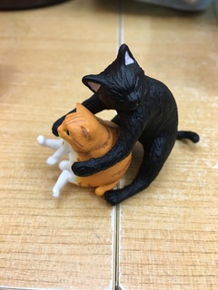横浜店、猫、増殖中 横浜店、猫、増殖中