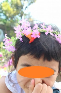 向日葵の花言葉、沖縄の花言葉 向日葵の花言葉、沖縄の花言葉