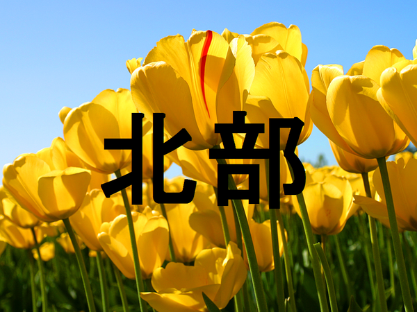 【一般・北部】各季北部支部大会試合結果 【一般・北部】各季北部支部大会試合結果