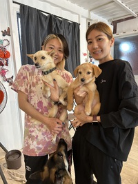 ✈️募集終了/協力団体様へ移籍致しました✈️ひなちゃん♥小柄でキュートな女の子 ✈️募集終了/協力団体様へ移籍致しました✈️ひなちゃん♥小柄でキュートな女の子