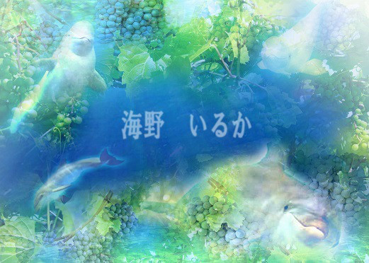 ::☆ 海野いるかのコブラインタビュー 11月28日 ☆☆彡 ::☆ 海野いるかのコブラインタビュー 11月28日 ☆☆彡